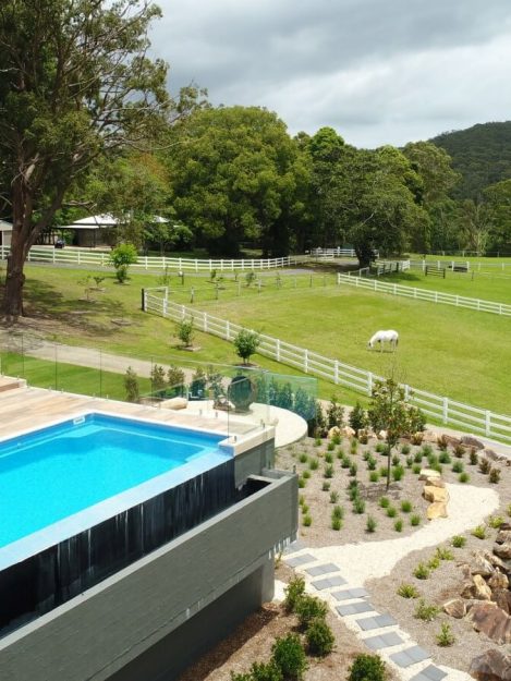 Awarded X Trainer pook Johns River 1