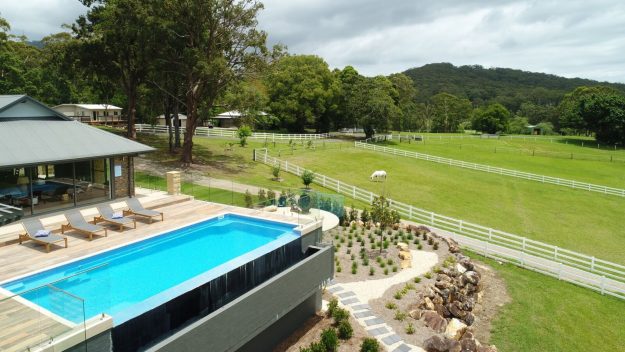 Awarded X Trainer pook Johns River 1