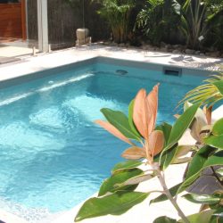 Tropical plunge pool design idea