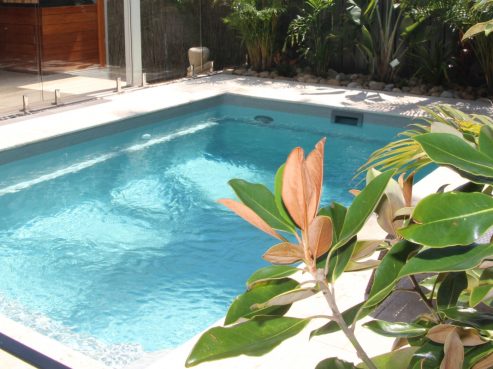 Tropical plunge pool design idea